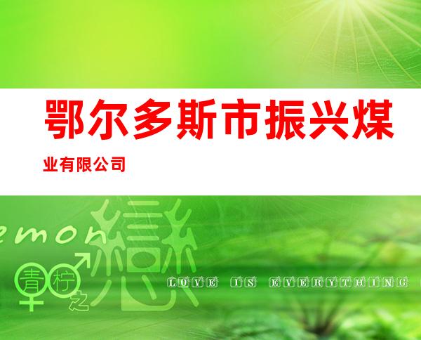 鄂尔多斯市振兴煤业有限公司